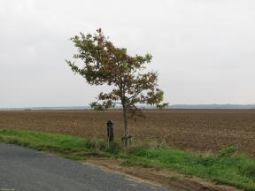 Greenwich Meridian Marker; England; Hertfordshire; Between Buckland & Barkway